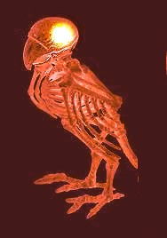 spooky bird Blank Meme Template