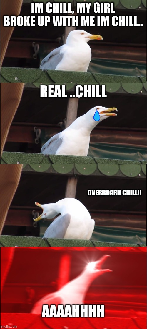 Inhaling Seagull | IM CHILL, MY GIRL BROKE UP WITH ME IM CHILL.. REAL ..CHILL; OVERBOARD CHILL!! AAAAHHHH | image tagged in memes,inhaling seagull | made w/ Imgflip meme maker