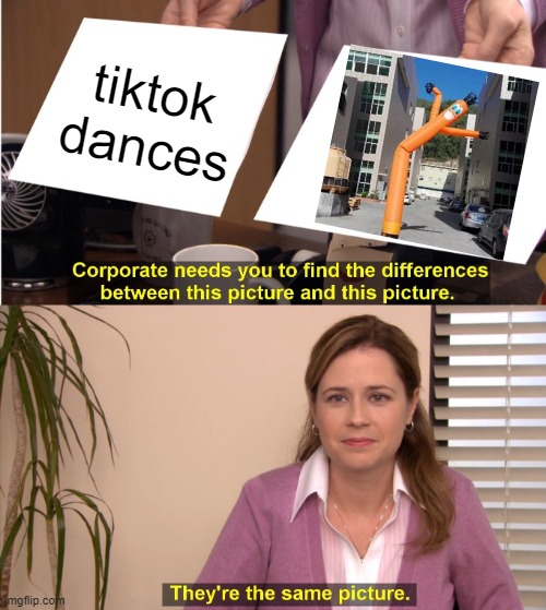They're The Same Picture | tiktok dances | image tagged in memes,they're the same picture | made w/ Imgflip meme maker