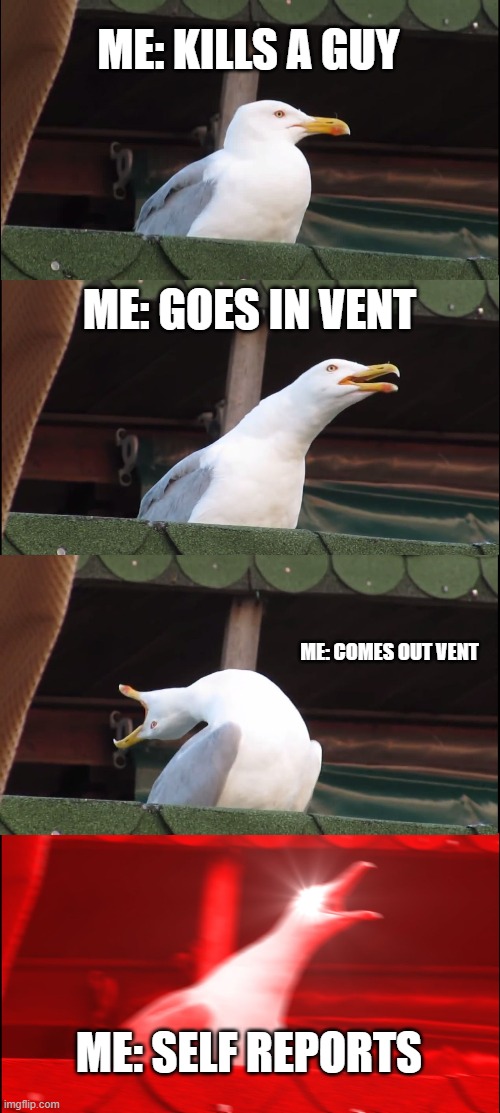 Inhaling Seagull | ME: KILLS A GUY; ME: GOES IN VENT; ME: COMES OUT VENT; ME: SELF REPORTS | image tagged in memes,inhaling seagull | made w/ Imgflip meme maker