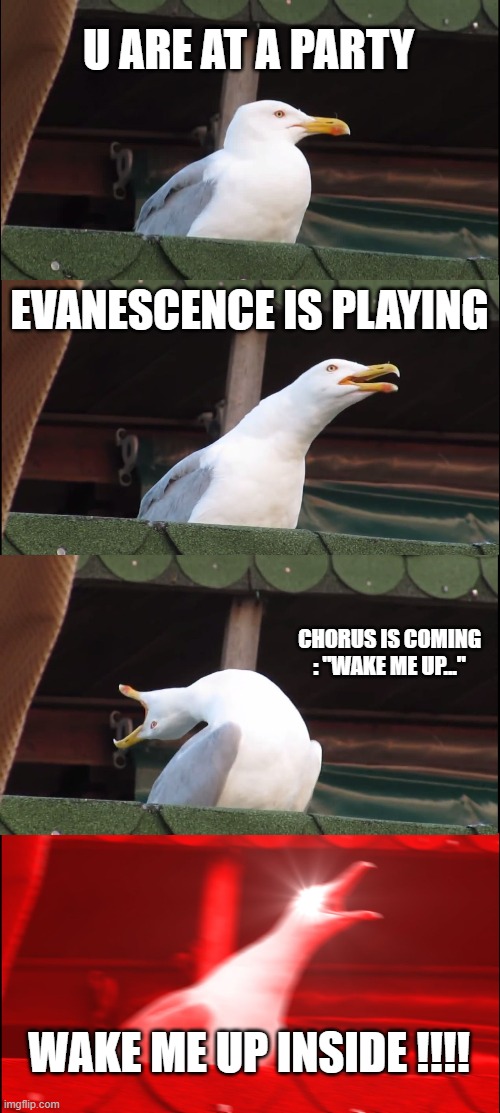 Inhaling Seagull | U ARE AT A PARTY; EVANESCENCE IS PLAYING; CHORUS IS COMING : "WAKE ME UP..."; WAKE ME UP INSIDE !!!! | image tagged in memes,inhaling seagull | made w/ Imgflip meme maker