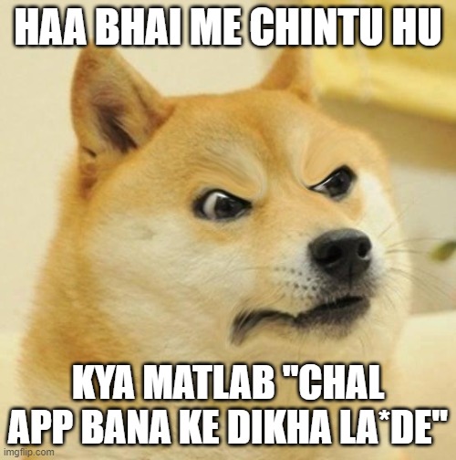 Angery Doge | HAA BHAI ME CHINTU HU; KYA MATLAB "CHAL APP BANA KE DIKHA LA*DE" | image tagged in angery doge | made w/ Imgflip meme maker