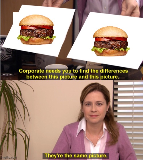 They're The Same Picture | image tagged in memes,they're the same picture | made w/ Imgflip meme maker