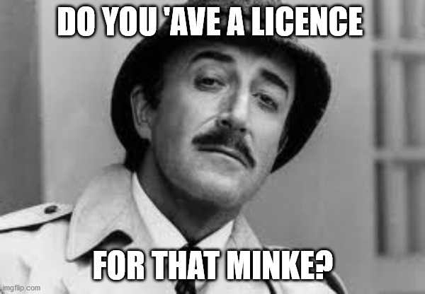 Inspector Clouseau I'm knit impressed | DO YOU 'AVE A LICENCE; FOR THAT MINKE? | image tagged in inspector clouseau i'm knit impressed | made w/ Imgflip meme maker