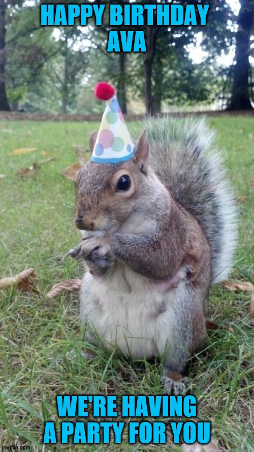 She's 3 yr. old | HAPPY BIRTHDAY 
AVA; WE'RE HAVING A PARTY FOR YOU | image tagged in memes,super birthday squirrel | made w/ Imgflip meme maker