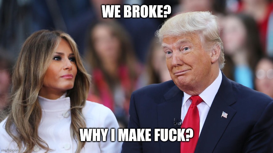 Donald and Melania Trump | WE BROKE? WHY I MAKE FUCK? | image tagged in donald and melania trump | made w/ Imgflip meme maker