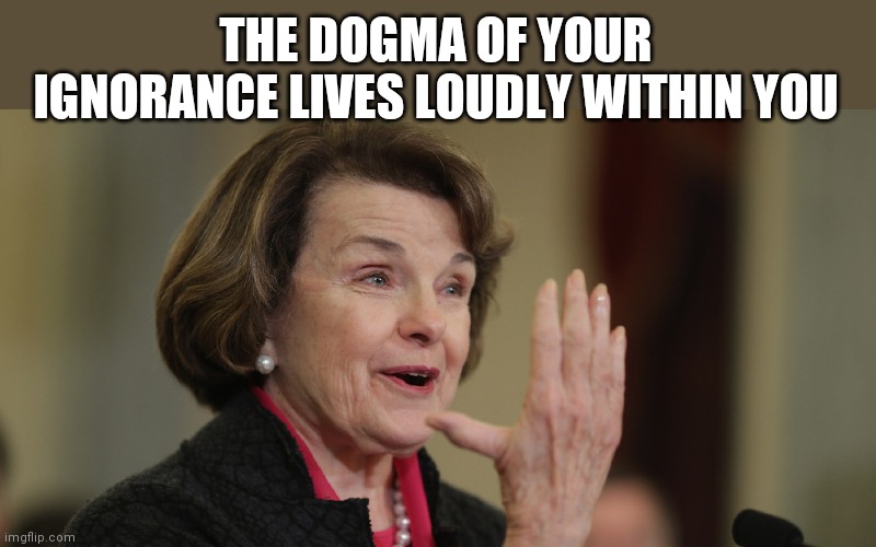 Diane Feinstein | THE DOGMA OF YOUR IGNORANCE LIVES LOUDLY WITHIN YOU | image tagged in diane feinstein | made w/ Imgflip meme maker