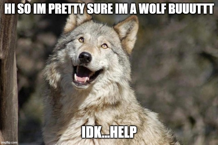 im pretty sure im a wold but idk... | HI SO IM PRETTY SURE IM A WOLF BUUUTTT; IDK...HELP | image tagged in optimistic moon moon wolf vanadium wolf | made w/ Imgflip meme maker