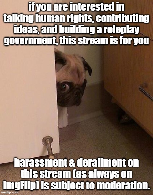statement on harassment in the Government stream. | if you are interested in talking human rights, contributing ideas, and building a roleplay government, this stream is for you; harassment & derailment on this stream (as always on ImgFlip) is subject to moderation. | image tagged in guilty pug,government,imgflip trolls,harassment,terms and conditions,meme stream | made w/ Imgflip meme maker