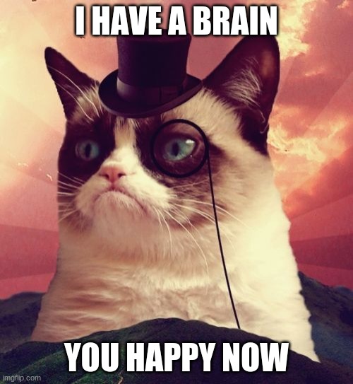 Grumpy Cat Top Hat Meme | I HAVE A BRAIN; YOU HAPPY NOW | image tagged in memes,grumpy cat top hat,grumpy cat | made w/ Imgflip meme maker