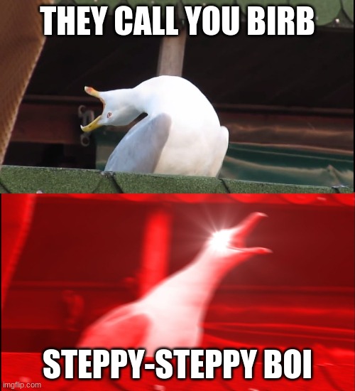 Screaming bird | THEY CALL YOU BIRB; STEPPY-STEPPY BOI | image tagged in screaming bird | made w/ Imgflip meme maker