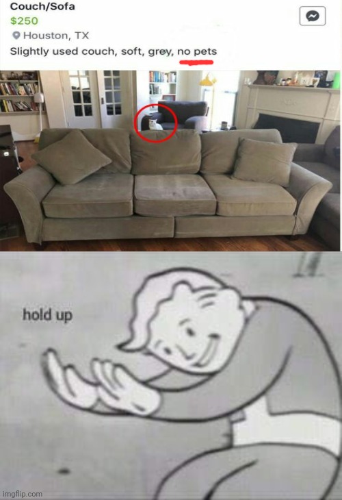 Hold up: There's a pet cat. | image tagged in fallout hold up,funny,memes,hold up,couch,cat | made w/ Imgflip meme maker