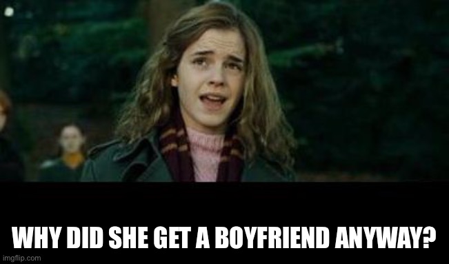 Just Hermione | WHY DID SHE GET A BOYFRIEND ANYWAY? | image tagged in just hermione | made w/ Imgflip meme maker