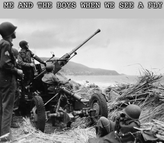 Flies | ME AND THE BOYS WHEN WE SEE A FLY | image tagged in ww2,fly,me and the boys | made w/ Imgflip meme maker