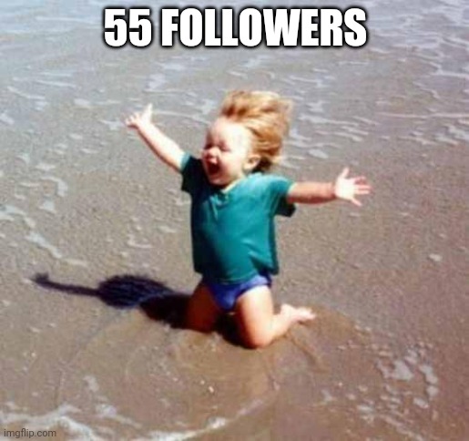 Celebration | 55 FOLLOWERS | image tagged in celebration | made w/ Imgflip meme maker