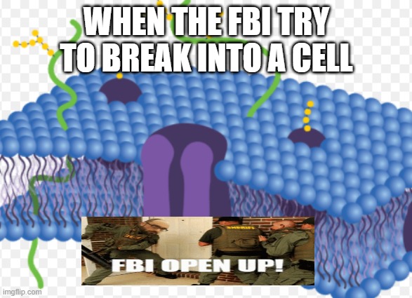 Cell Memes | WHEN THE FBI TRY TO BREAK INTO A CELL | image tagged in memes | made w/ Imgflip meme maker