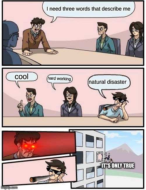 three words | I need three words that describe me; cool; hard working; natural disaster; IT"S ONLY TRUE | image tagged in memes,boardroom meeting suggestion | made w/ Imgflip meme maker