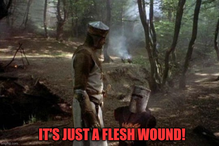 Just a Flesh Wound | IT'S JUST A FLESH WOUND! | image tagged in just a flesh wound | made w/ Imgflip meme maker