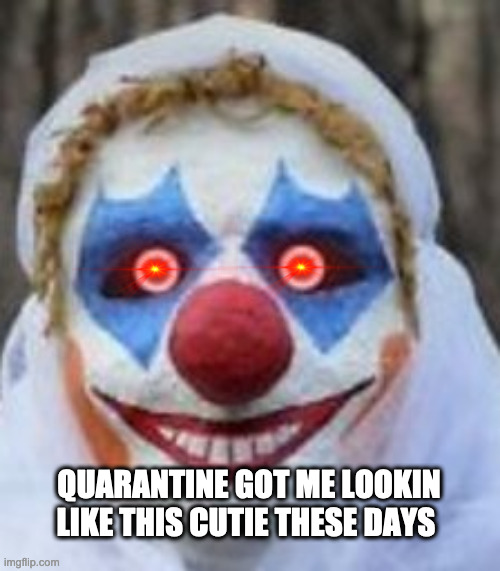 Life is bad :) | QUARANTINE GOT ME LOOKIN LIKE THIS CUTIE THESE DAYS | image tagged in memes | made w/ Imgflip meme maker