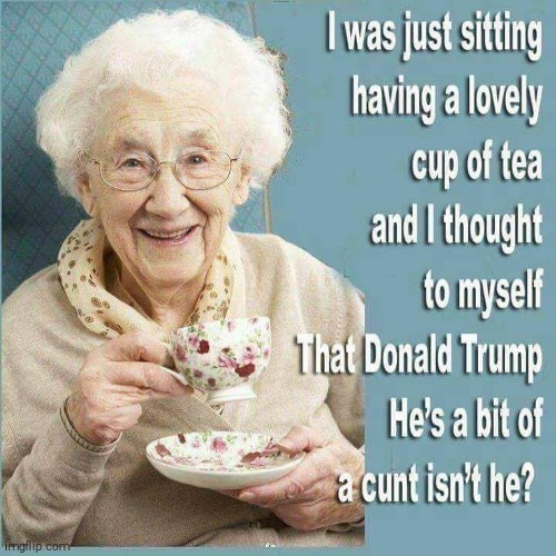 The old lady gets it | image tagged in donald trump | made w/ Imgflip meme maker