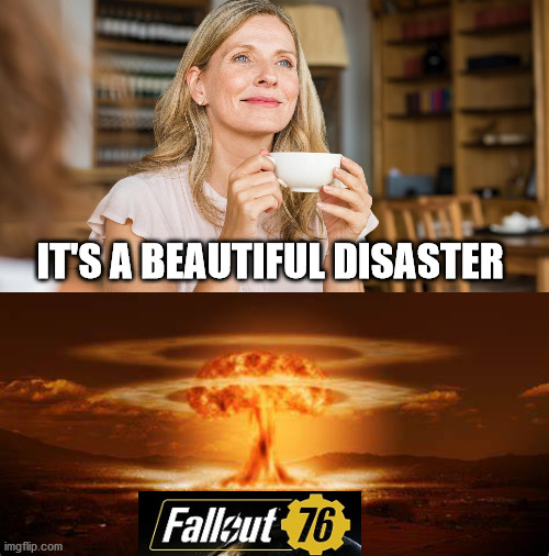Disaster | IT'S A BEAUTIFUL DISASTER | image tagged in fallout 76,video games | made w/ Imgflip meme maker