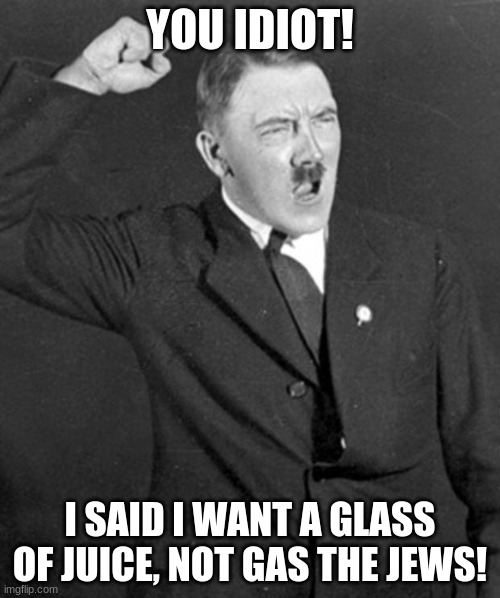 idiots |  YOU IDIOT! I SAID I WANT A GLASS OF JUICE, NOT GAS THE JEWS! | image tagged in angry hitler | made w/ Imgflip meme maker