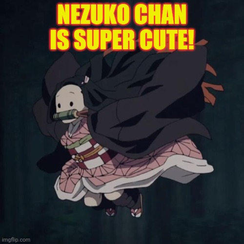 NEZUKO CHAN IS SUPER CUTE! | made w/ Imgflip meme maker