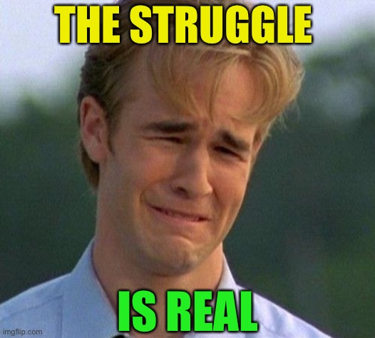 1990s First World Problems Meme | THE STRUGGLE IS REAL | image tagged in memes,1990s first world problems | made w/ Imgflip meme maker