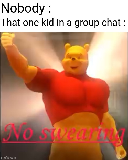 Relatable | Nobody :; That one kid in a group chat : | image tagged in swearing,memes,funny | made w/ Imgflip meme maker