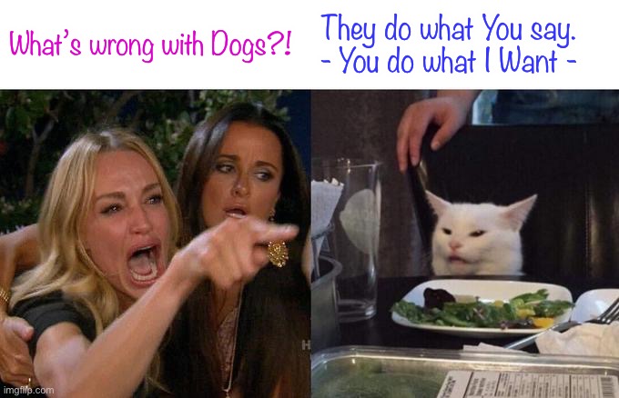 Woman Yelling At Cat Meme | What’s wrong with Dogs?! They do what You say.    
- You do what I Want - | image tagged in memes,woman yelling at cat | made w/ Imgflip meme maker