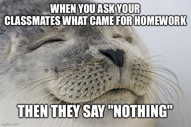 I love when it happens | WHEN YOU ASK YOUR CLASSMATES WHAT CAME FOR HOMEWORK; THEN THEY SAY "NOTHING" | image tagged in memes,satisfied seal | made w/ Imgflip meme maker