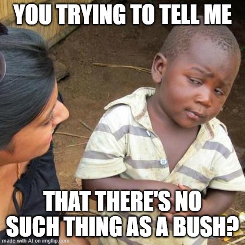 No such thing as a bush | YOU TRYING TO TELL ME; THAT THERE'S NO SUCH THING AS A BUSH? | image tagged in memes,third world skeptical kid | made w/ Imgflip meme maker