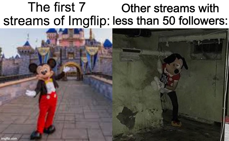 The first 7 streams of Imgflip:; Other streams with less than 50 followers: | made w/ Imgflip meme maker