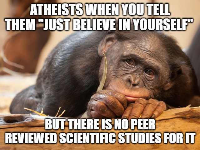 ATHEISTS WHEN YOU TELL THEM "JUST BELIEVE IN YOURSELF"; BUT THERE IS NO PEER REVIEWED SCIENTIFIC STUDIES FOR IT | image tagged in atheism,god,religion,philosophy | made w/ Imgflip meme maker