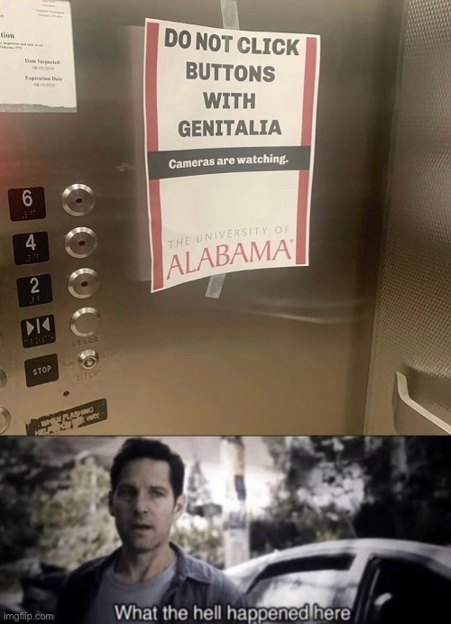 Roll tide...? | image tagged in what the hell happened here,elevator,junk,genitals,alabama | made w/ Imgflip meme maker