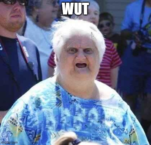 wut | WUT | image tagged in wut | made w/ Imgflip meme maker