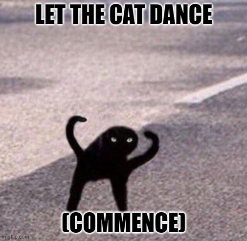 The cat dance | LET THE CAT DANCE; (COMMENCE) | image tagged in cats,cat,cursed image,cat memes,cat meme,funny cat memes | made w/ Imgflip meme maker