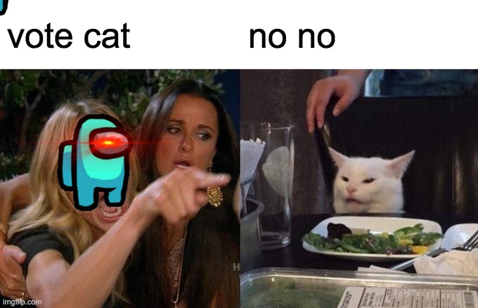Woman Yelling At Cat Meme | vote cat; no no | image tagged in memes,woman yelling at cat | made w/ Imgflip meme maker