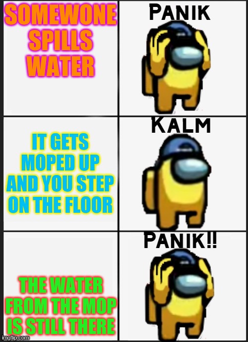 Among us Panik | SOMEWONE SPILLS WATER; IT GETS MOPED UP AND YOU STEP ON THE FLOOR; THE WATER FROM THE MOP IS STILL THERE | image tagged in among us panik | made w/ Imgflip meme maker