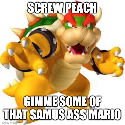 Bowser | SCREW PEACH GIMME SOME OF THAT SAMUS ASS MARIO | image tagged in bowser | made w/ Imgflip meme maker