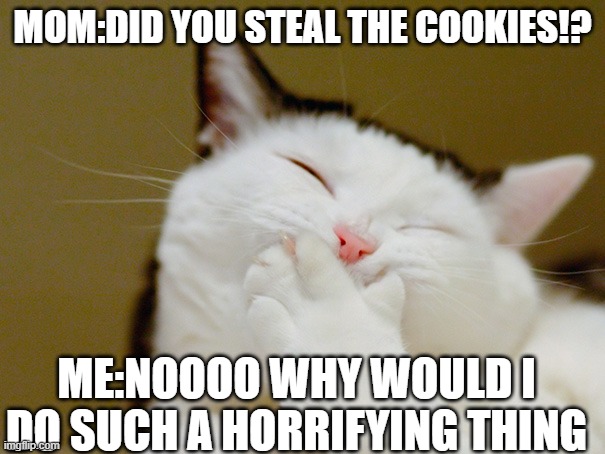 MOM:DID YOU STEAL THE COOKIES!? ME:NOOOO WHY WOULD I DO SUCH A HORRIFYING THING | image tagged in smiling cat,cat memes,cat meme,funny cat memes,cat,cats | made w/ Imgflip meme maker