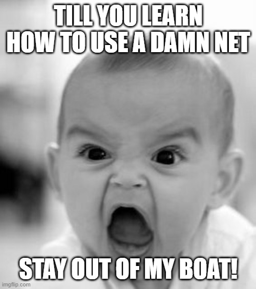 baby net | TILL YOU LEARN HOW TO USE A DAMN NET; STAY OUT OF MY BOAT! | image tagged in memes,angry baby | made w/ Imgflip meme maker