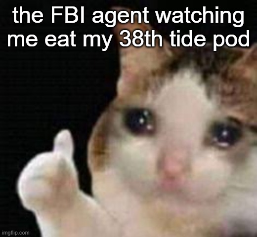 Approved crying cat | the FBI agent watching me eat my 38th tide pod | image tagged in approved crying cat | made w/ Imgflip meme maker