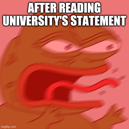 university life | AFTER READING UNIVERSITY'S STATEMENT | image tagged in rage pepe,university | made w/ Imgflip meme maker