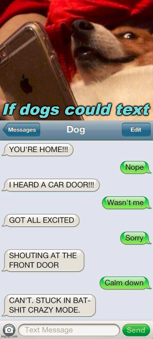 Dog Texting | If dogs could text | image tagged in dog phone,texting | made w/ Imgflip meme maker
