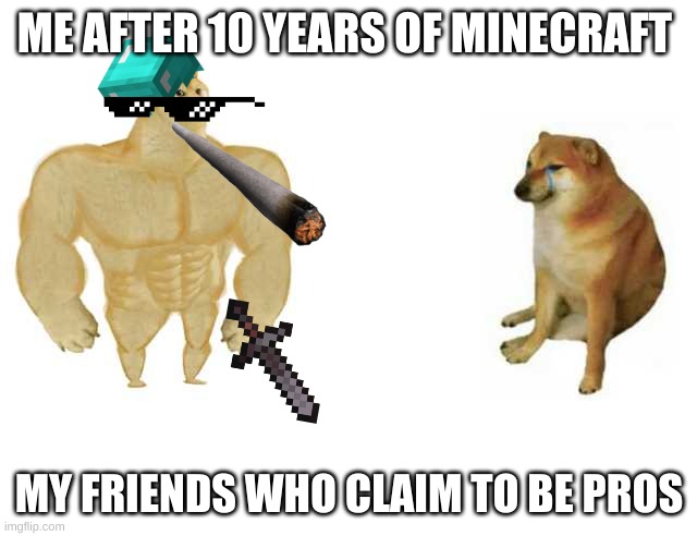 no really |  ME AFTER 10 YEARS OF MINECRAFT; MY FRIENDS WHO CLAIM TO BE PROS | image tagged in strong doge weak doge | made w/ Imgflip meme maker