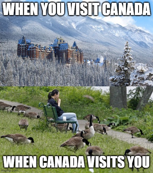 WHEN YOU VISIT CANADA; WHEN CANADA VISITS YOU | image tagged in canada hotel | made w/ Imgflip meme maker