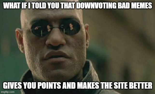 Ya get the same points as upvotes, but don't have to see all these beggars and future welfare recipients clogging up the works. | WHAT IF I TOLD YOU THAT DOWNVOTING BAD MEMES; GIVES YOU POINTS AND MAKES THE SITE BETTER | image tagged in memes,matrix morpheus,funny | made w/ Imgflip meme maker