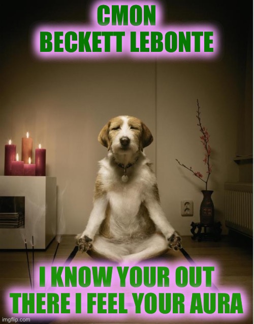 dog meditation funny | CMON BECKETT LEBONTE; I KNOW YOUR OUT THERE I FEEL YOUR AURA | image tagged in dog meditation funny,beckett437 | made w/ Imgflip meme maker