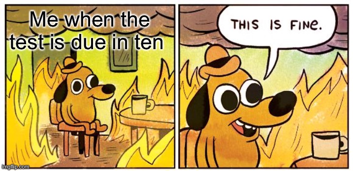 This Is Fine Meme | Me when the test is due in ten minutes | image tagged in memes,this is fine | made w/ Imgflip meme maker